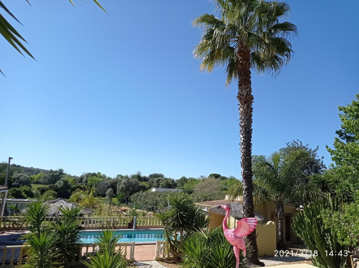 Quinta Pereiro Tropic Garden, Algarve Bed & Breakfast Moncarapacho Luaran gambar